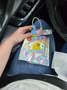 Bath & Body Works Pink & Blue Mystery Duck Pocket Bag Holder
